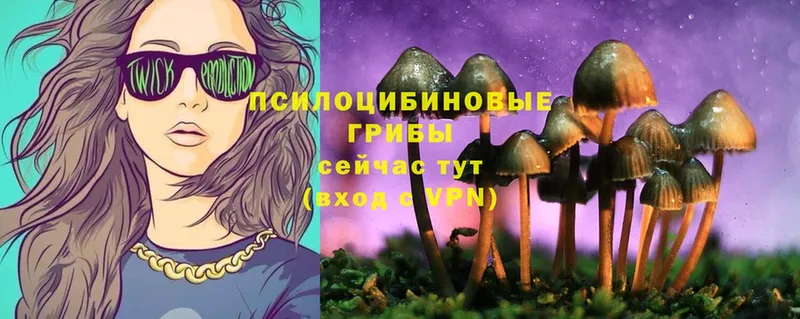 Псилоцибиновые грибы Magic Shrooms  Фёдоровский 